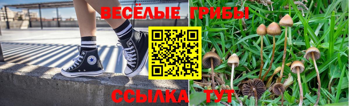 Псилоцибиновые грибы прущие грибы Сосновоборск